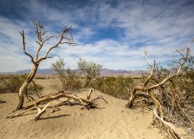 USA Death Valley Nationalpark