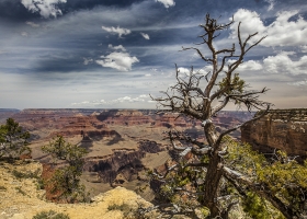 USA Canyonland Nationalpark